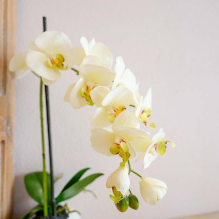 维拉西米乌斯La Rosa Dei Venti住宿加早餐旅馆 外观 照片